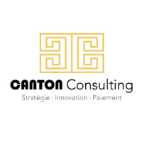 CANTON Consulting logo - Similar company to Reemo | Secure Remote Access Platform