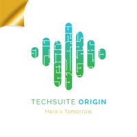 Techsuite Origin logo - Similar company to Techsuite