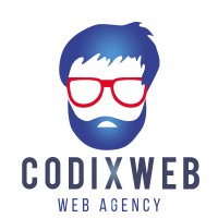 CodixWeb logo - Similar company to Realtiiz