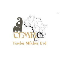 Tembo Mfalme Ltd logo - Similar company to Patel Strap Private Limited
