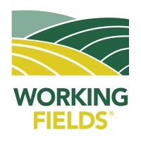Working Fields logo - Similar company to Witr Radio