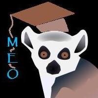 Madagascar Educational Opportunities, Inc. logo - Similar company to Denebsolution