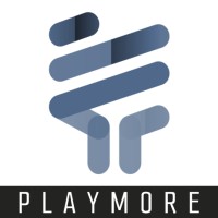 Playmore Software logo - Similar company to Dized (Playmore Games Inc.)