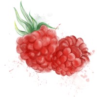 Raspberry Creek Fabrics logo - Similar company to Anichini Srl