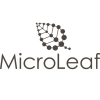 MicroLeaf logo - Similar company to Microleaf Software Technologies Pvt. Ltd.