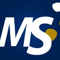 Management Solutions logo - Similar company to Escala Uno