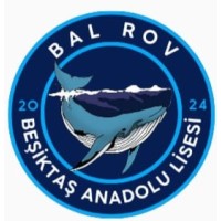 BalRov logo - Similar company to Bosphorus Robotics