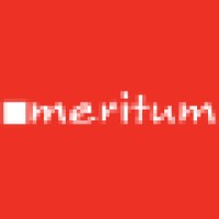 Meritum Coaching School logo - Similar company to Microloan Foundation