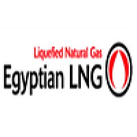 ELNG logo - Similar company to Prokool Ltd