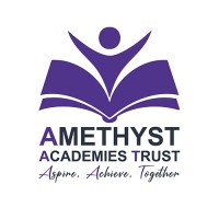 Amethyst Academies Trust logo - Similar company to W1 Services Ltd