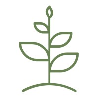 Schonfield Consulting