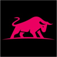 Scale-Bull logo - Similar company to Alpha Bull Ltd