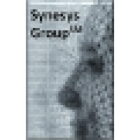 Synesys Group logo - Similar company to Crc Surface Technologies