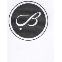 Budeiri Consulting logo - Similar company to Softwire Accountant