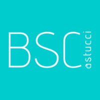 BSC astucci logo - Similar company to Fish-Studio