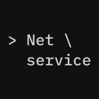 Net service logo - Similar company to Inet Sia