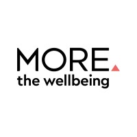 RBM MORE logo - Similar company to Rbm Systems