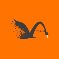 Grey Swan Digital logo - Similar company to Wicked Labs