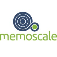 Memoscale