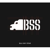 Blu Sky Star LLC logo - Similar company to Sugar Vr