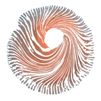 SPACE - Sociedade Portuguesa de Aplicação Clínica de Enteógenos logo - Similar company to Ipsitec