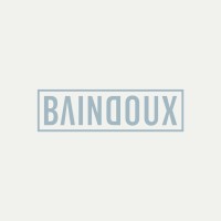 BAINDOUX logo - Similar company to Arw Nv