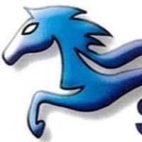 Seabird Packaging Ltd logo - Similar company to Rda Bulk Packaging India Pvt. Ltd