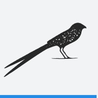 Scissortail Executive Advisors logo - Similar company to Marquee Benefit Advisors