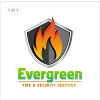 Evergreen Fire And Security Services logo - Similar company to Evergreen Security Inc.
