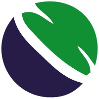 Capo Projects Group (CAPO) logo - Similar company to Autonomous Advisors