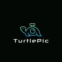 TurtlePic logo - Similar company to Intellinet Systems Private Limited