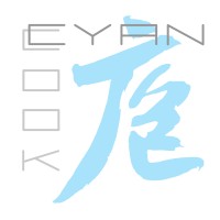 Cyancook Network logo - Similar company to Emay Games