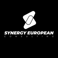 Synergy European Consulting logo - Similar company to Nxcode