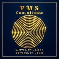 PMS Consulting logo - Similar company to Ra Biztek