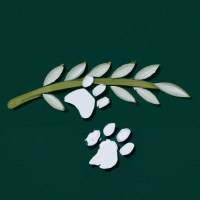 Paws Of Hope Ukraine
