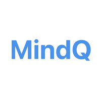 MindQInc logo - Similar company to Mindq Solution