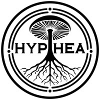 HYPHEA logo - Similar company to Xlemio