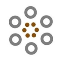 Florida Association for Nanotechnology logo - Similar company to Usf Health Taneja College Of Pharmacy