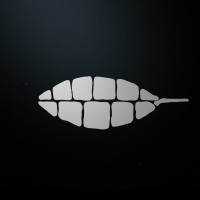Pachamama Investimentos logo - Similar company to Yutter