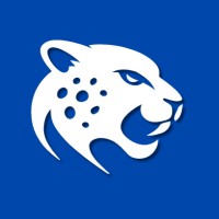 Cheetah Network logo - Similar company to Gransys