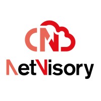 NetVisory logo - Similar company to Retapps Srl
