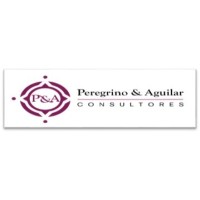 Peregrino & Aguilar Consultores logo - Similar company to Paycheck S.A. De C.V.