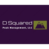 D Squared Peak Management logo - Similar company to Max Hofert Design