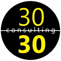 Thirty Thirty Consulting logo - Similar company to Tripeak Technology