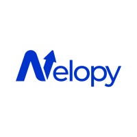 Nelopy Accounting logo - Similar company to Accounting Move Project