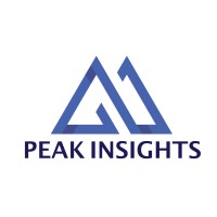 Peak Insights logo - Similar company to Peakinsights