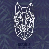 Brasília Ecoturismo logo - Similar company to Hidrosolo Ambiental