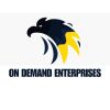 ON Demand Enterprises logo - Similar company to Ontime Logistics