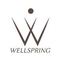 Wellspring logo - Similar company to Lastbox