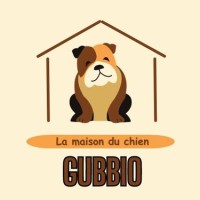 Association Gubbio logo - Similar company to Punto Sicurezza Gubbio